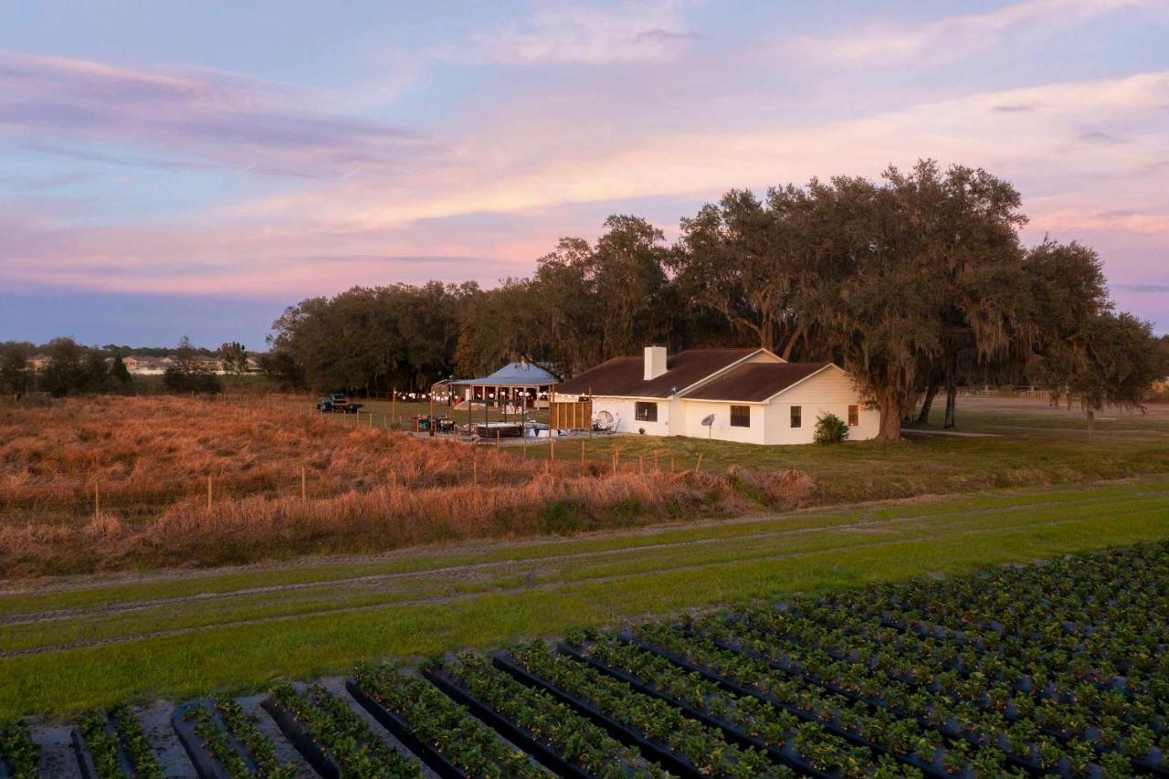 Plant City Home With Outdoor Pool! מראה חיצוני תמונה